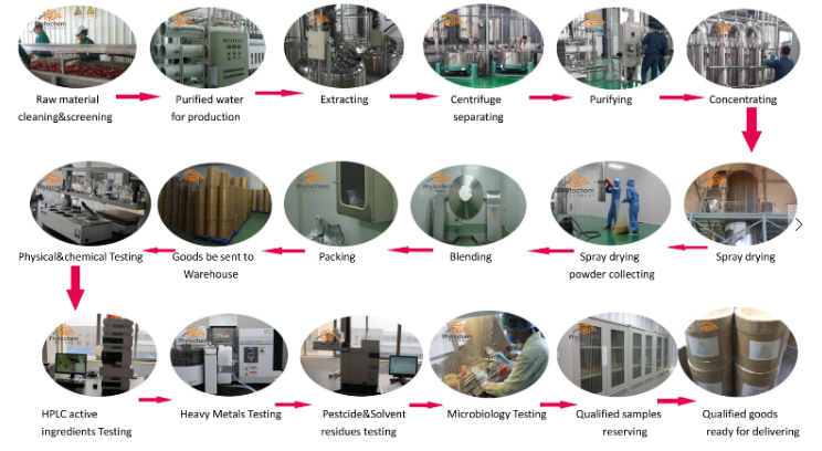 extract processing for icariin 10 %.png