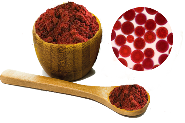 astaxanthin.png