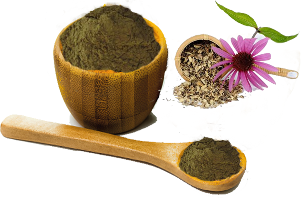 echinacea purpurea extract